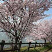 ヒメ日記 2025/04/23 23:07 投稿 まり デリドルファクトリー