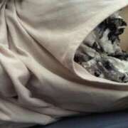 ヒメ日記 2025/08/18 12:18 投稿 まり デリドルファクトリー