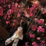 ヒメ日記 2025/05/16 02:41 投稿 つき（極上SPコース対応） LIGHT（ライト）～光が導く無限の可能性～