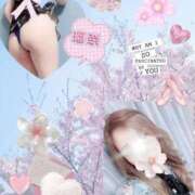 ヒメ日記 2025/04/19 12:22 投稿 矢村 瑠奈 大阪貴楼館