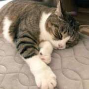 ヒメ日記 2025/03/19 15:48 投稿 しの Biz-ビズ-秘密の時間