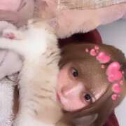 ヒメ日記 2025/08/06 15:45 投稿 あやめ【G乳天然激カワ美女】 STELLA TOKYO－ステラトウキョウ－