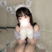 ヒメ日記 2025/12/26 10:30 投稿 Kokoro/ココロ ギャルズネットワーク 姫路