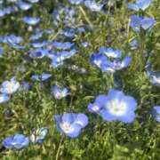 ヒメ日記 2025/05/05 09:20 投稿 えま すごいエステ池袋店