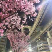 ヒメ日記 2025/03/28 19:35 投稿 あめ 吉原ファーストレディ