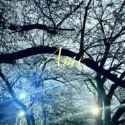 ヒメ日記 2025/04/03 06:58 投稿 あめ 吉原ファーストレディ