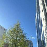 ヒメ日記 2025/08/21 11:16 投稿 あめ 吉原ファーストレディ