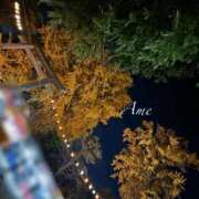 ヒメ日記 2025/11/27 09:49 投稿 あめ 吉原ファーストレディ