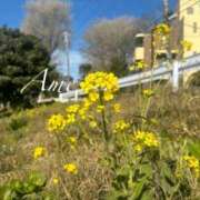 ヒメ日記 2025/12/31 18:36 投稿 あめ 吉原ファーストレディ