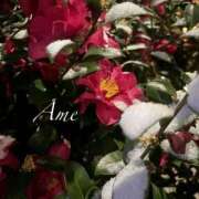 ヒメ日記 2026/02/09 01:16 投稿 あめ 吉原ファーストレディ