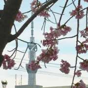 ヒメ日記 2026/03/08 22:56 投稿 あめ 吉原ファーストレディ