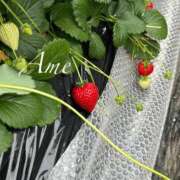 ヒメ日記 2026/03/10 22:46 投稿 あめ 吉原ファーストレディ