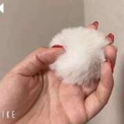 ヒメ日記 2026/05/02 08:26 投稿 あめ 吉原ファーストレディ