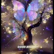 ヒメ日記 2025/03/30 19:53 投稿 彩月灯(あると) 人妻・熟女特急新潟店