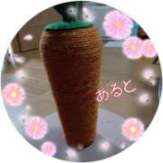 ヒメ日記 2025/04/05 11:03 投稿 彩月灯(あると) 人妻・熟女特急新潟店