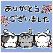 ヒメ日記 2025/05/13 10:05 投稿 彩月灯(あると) 人妻・熟女特急新潟店