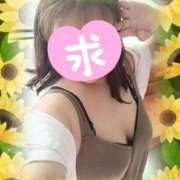 ヒメ日記 2026/07/16 12:58 投稿 彩月灯(あると) 人妻・熟女特急新潟店