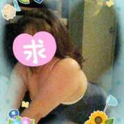 ヒメ日記 2026/08/09 11:53 投稿 彩月灯(あると) 人妻・熟女特急新潟店