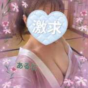 ヒメ日記 2026/09/04 12:23 投稿 彩月灯(あると) 人妻・熟女特急新潟店