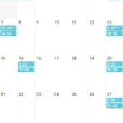 七星 さく 12,1 ミスターダンディー