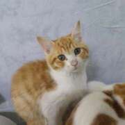 ヒメ日記 2025/03/26 00:03 投稿 くらら　奥様 SUTEKIな奥様は好きですか?