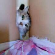 ヒメ日記 2025/04/27 11:34 投稿 くらら　奥様 SUTEKIな奥様は好きですか?