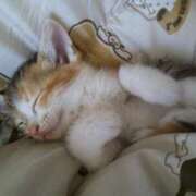 ヒメ日記 2026/02/22 22:19 投稿 くらら　奥様 SUTEKIな奥様は好きですか?