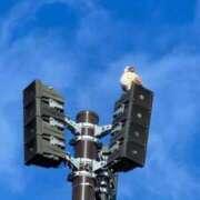 ヒメ日記 2026/01/04 19:33 投稿 すずか　奥様 SUTEKIな奥様は好きですか?