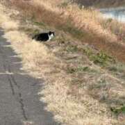 ヒメ日記 2026/01/16 11:33 投稿 すずか　奥様 SUTEKIな奥様は好きですか?