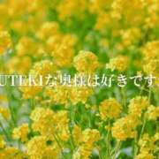 ヒメ日記 2025/05/29 11:12 投稿 ゆきの　奥様 SUTEKIな奥様は好きですか?