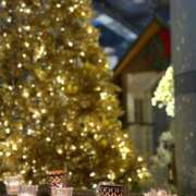 ヒメ日記 2025/12/21 01:18 投稿 ゆきの　奥様 SUTEKIな奥様は好きですか?