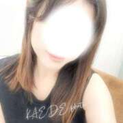 ヒメ日記 2025/02/19 11:22 投稿 かえで　奥様 SUTEKIな奥様は好きですか?