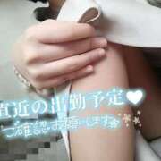 ヒメ日記 2025/04/06 11:33 投稿 あんな　奥様 SUTEKIな奥様は好きですか?