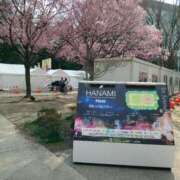 ヒメ日記 2026/04/03 16:27 投稿 あんな　奥様 SUTEKIな奥様は好きですか?