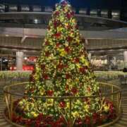 ヒメ日記 2025/12/17 12:54 投稿 はな いきなりラブ彼女