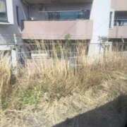 ヒメ日記 2026/04/14 09:39 投稿 はな いきなりラブ彼女