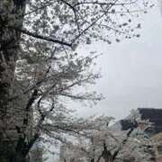 ヒメ日記 2025/03/07 21:56 投稿 ゆな 横浜ひよこ倶楽部