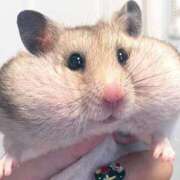 ヒメ日記 2025/04/07 19:33 投稿 まひろ　奥様 SUTEKIな奥様は好きですか?