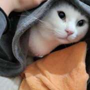 ヒメ日記 2025/04/23 07:48 投稿 まひろ　奥様 SUTEKIな奥様は好きですか?