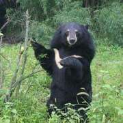 ヒメ日記 2025/08/07 21:03 投稿 まひろ　奥様 SUTEKIな奥様は好きですか?