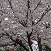 ヒメ日記 2026/04/08 15:33 投稿 みほ　奥様 SUTEKIな奥様は好きですか?