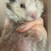 ヒメ日記 2026/03/16 01:10 投稿 あきら 赤坂美療