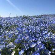 ヒメ日記 2025/04/30 17:33 投稿 べる マリン土浦本店