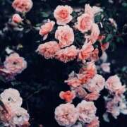 べる おはよ！ マリン土浦本店