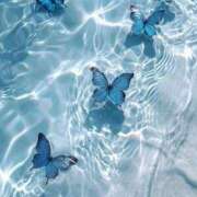 ヒメ日記 2026/01/13 10:51 投稿 べる マリン土浦本店