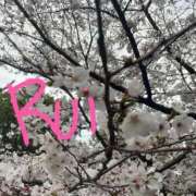 ヒメ日記 2025/03/31 21:41 投稿 るい エンジェルマスカット