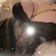 ヒメ日記 2025/08/12 09:02 投稿 ゆめ エンジェルマスカット