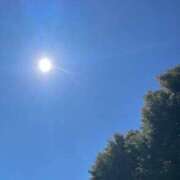 ヒメ日記 2025/02/25 17:02 投稿 ひいろ エンジェルマスカット