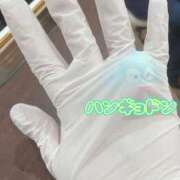 ヒメ日記 2026/03/24 20:31 投稿 ひいろ エンジェルマスカット