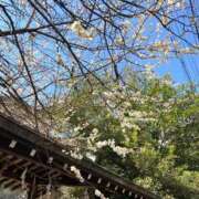 ヒメ日記 2025/03/01 16:20 投稿 夏川 熟女の風俗最終章　鶯谷店